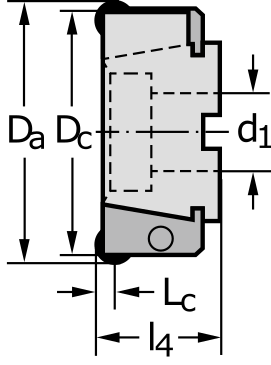 Фреза с кассетами F2010.B.125.Z08.02.R681M