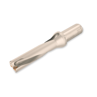 Сверло с СМП 17 D5 WCM_ 03