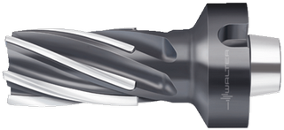 Фреза с напайными пластинами F1682.N6.040.Z06.63.K