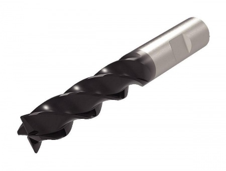 Фреза твердосплавная концевая 4X1EE25008RBWWS15PE