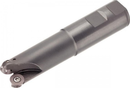 Корпус фрезы концевой M100D125Z02W125RD12L615W